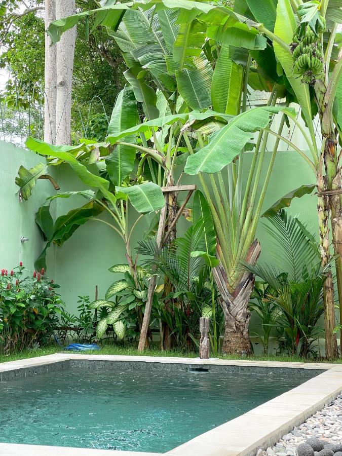 2Br Art Villa Bingin Uluwatu Exteriör bild
